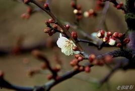 梅开二度时,双喜临门的辉煌时刻