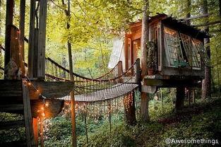 林中笑屋,探寻自然与欢乐的和谐共鸣