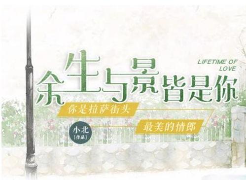 你和余生皆过客,探寻人生旅途中那些无法忘怀的相遇与别离