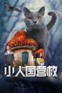 小人国营救,一场跨越国界的生命救援之旅