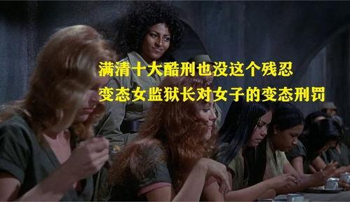 笼中女囚,揭秘笼中女囚的内心世界