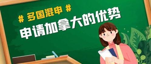 社会性抹杀丈夫的5个方法 第二季,社会性抹杀丈夫的五大策略深度剖析