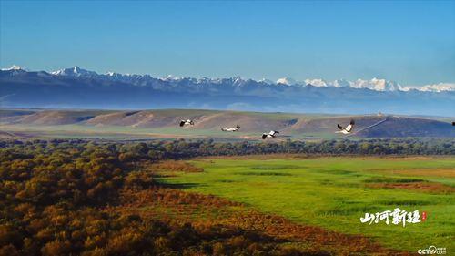 山河新疆,领略丝路风情画卷
