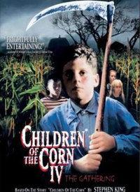 玉米田的小孩4,探寻乡村孩子的成长足迹